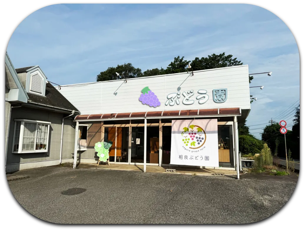 店舗