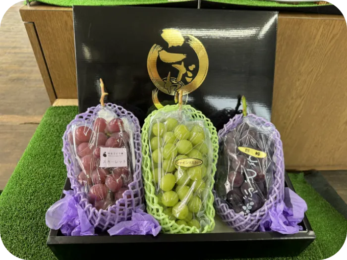 おすすめセット