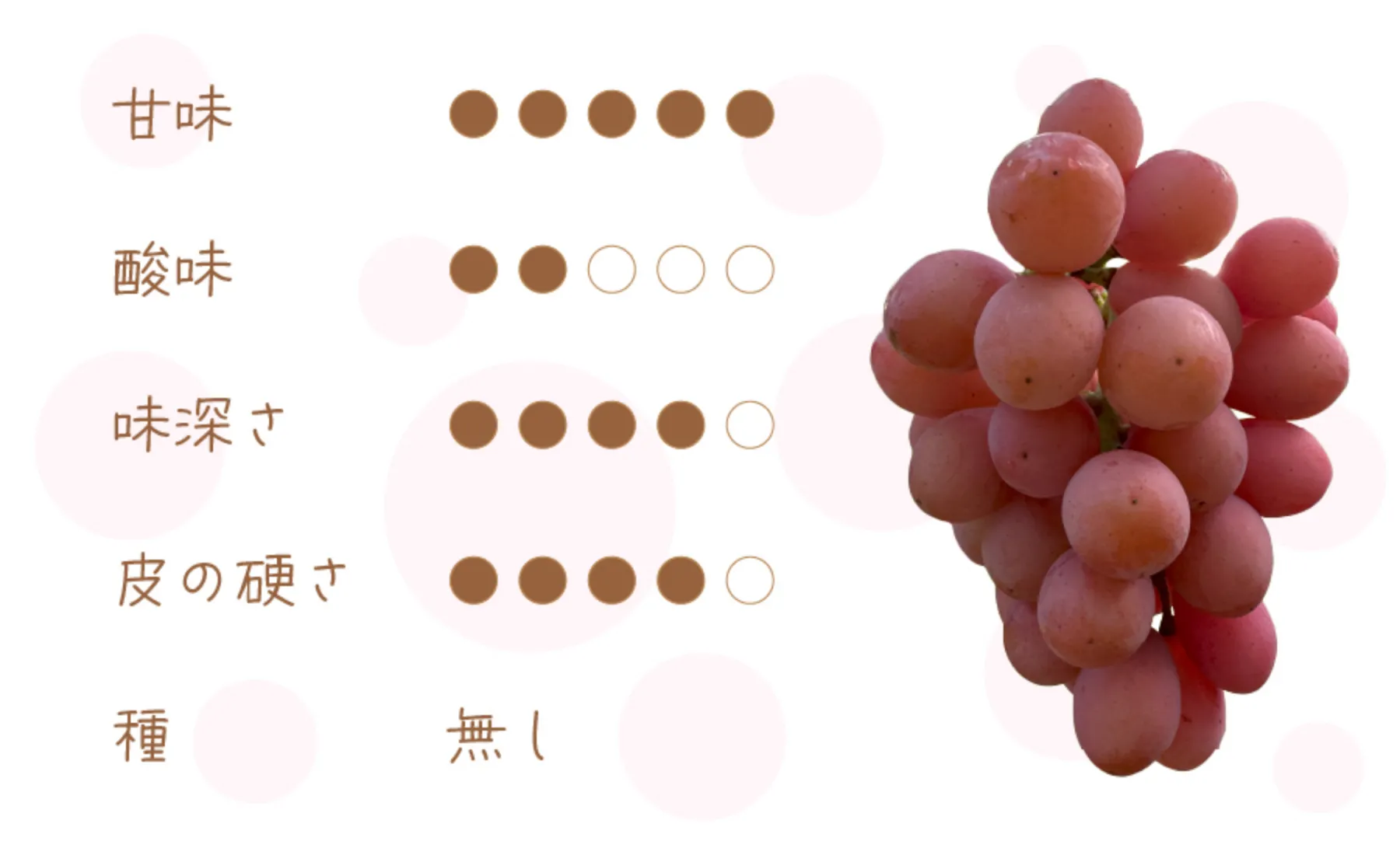 クイーンニーナ
