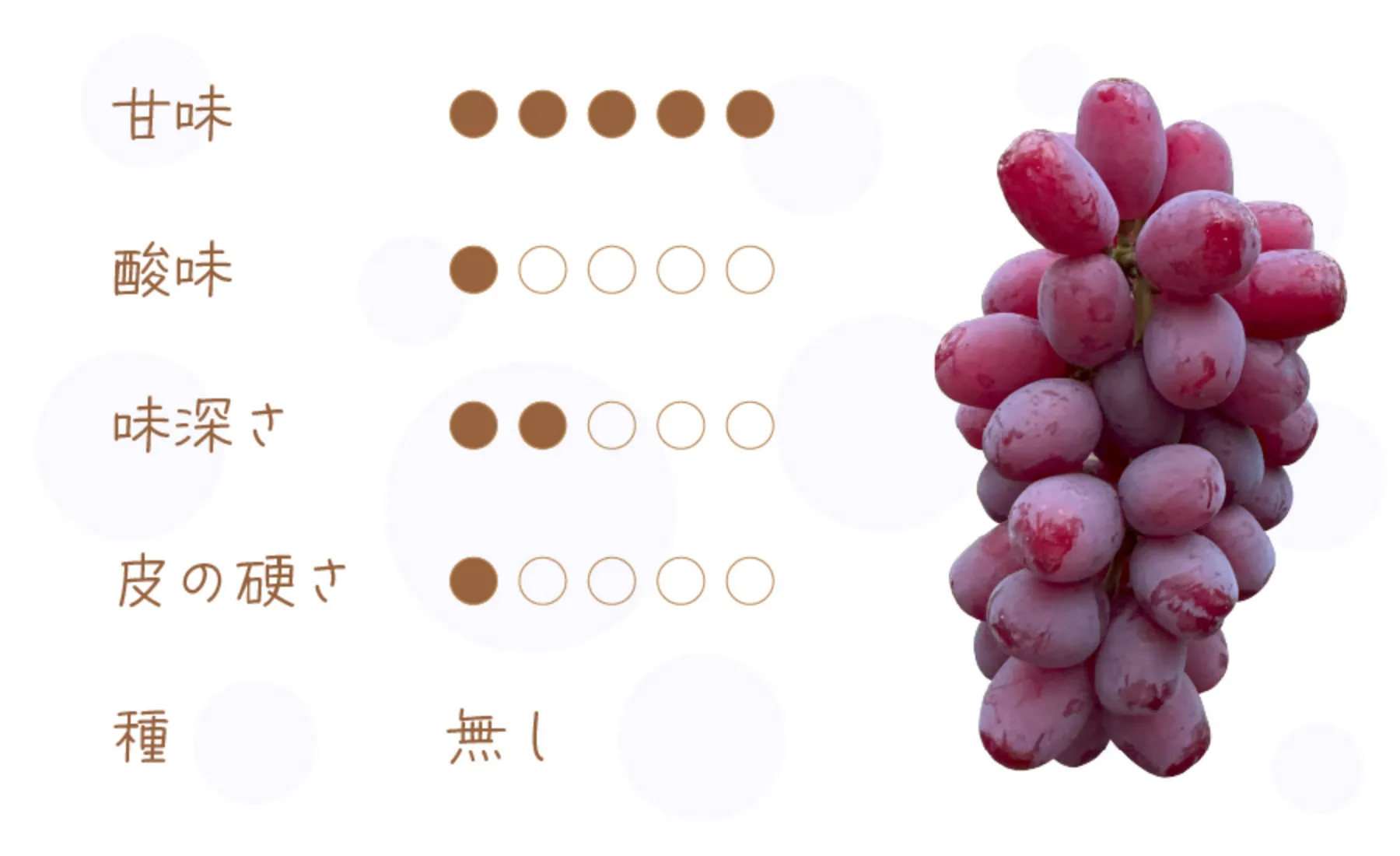 富士の輝