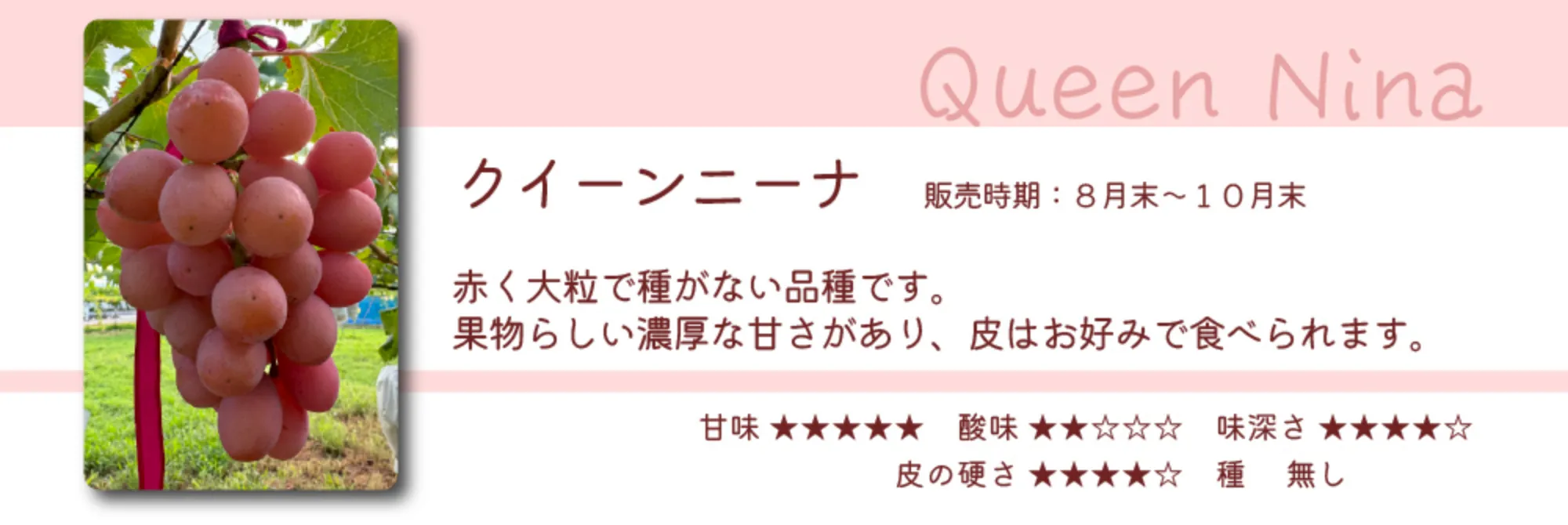 クイーンニーナ
